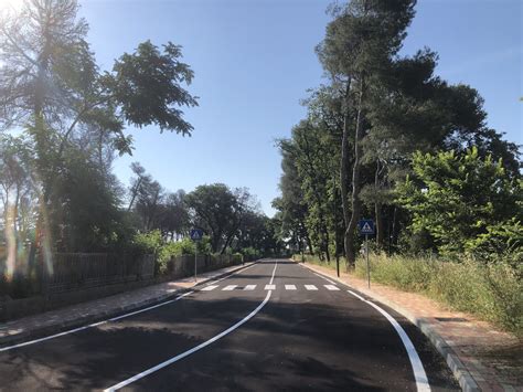 Vieni cè una strada nel bosco