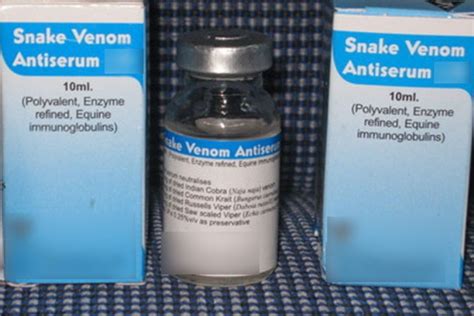 Anti Snake Venom At Rs 500 Piece Anti Snake Venom In New Delhi ID