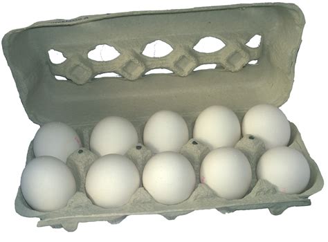 Egg Carton Transparent Png 8550712 Png Png Transparent Overlay