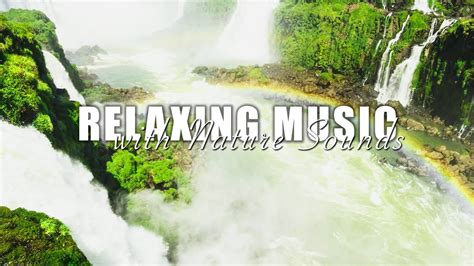 Relaxing Piano Music With Nature Sounds Soft Music Calms The Nervous