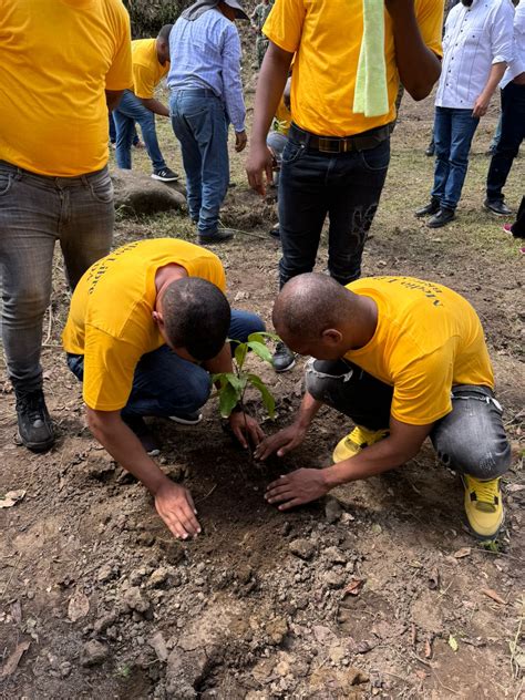 Realizan Reforestación Con Privados De Libertad En La Cuenca Del Río Nizao