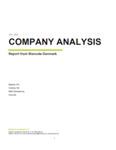 Company Analysis 11 Examples Format Pdf Examples