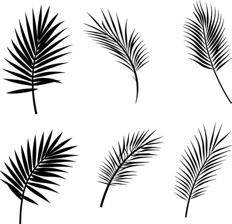 Set Of Black Silhouettes Of Tropical Leaves Palms Trees Vector Ai