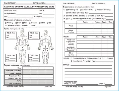 The Veterinary Nurse Quality Improvement Frameworks To Maximise Wound