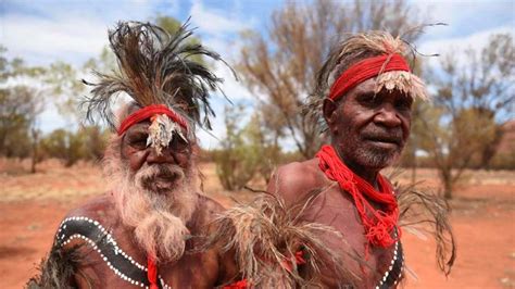 Esta Es La Historia De Los Abor Genes Australianos Dingoos