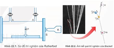 Lý thuyết Phản ứng hạt nhân và năng lượng liên kết Vật lí 12 Kết nối