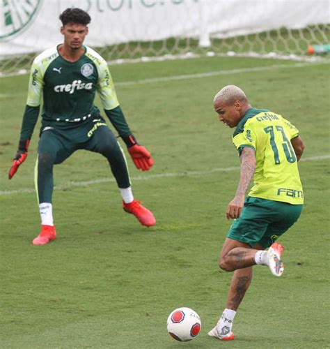 Veja fotos do segundo treino do Palmeiras desta terça feira Gazeta