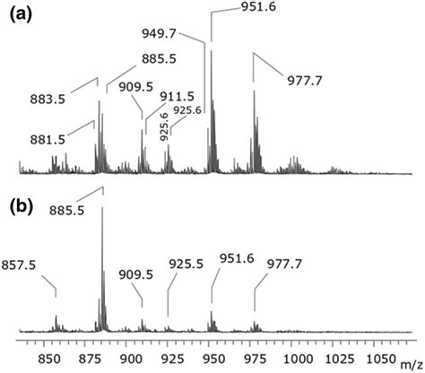 Negative Ion Mode Maldi Tof Ms From Ac Tissue Extract A And The