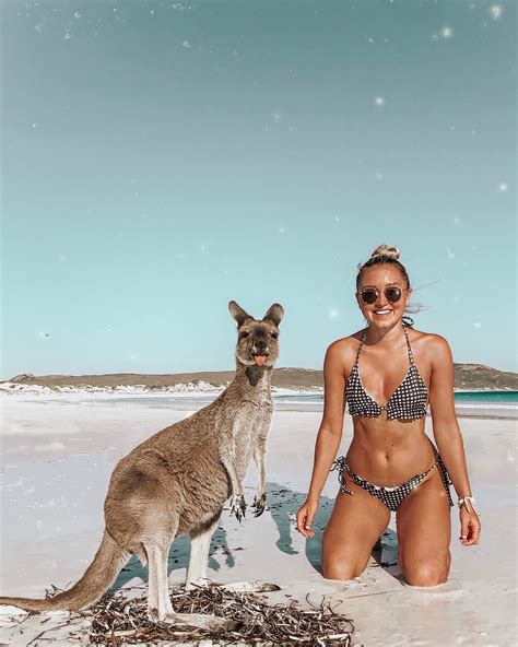 Kangaroos At Lucky Bay Esperance Wa Australia Travel Inspo