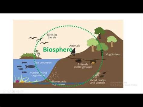 Biosphere Structure And Composition YouTube