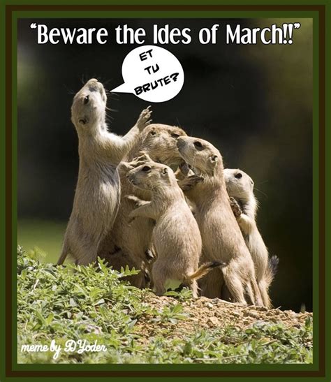 Beware The Ides Of March” Et Tu Brute” Prairie Dogs Animals