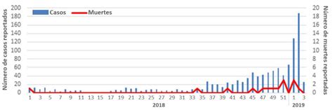 Julio 2019 Dengue en Jamaica Fundación iO