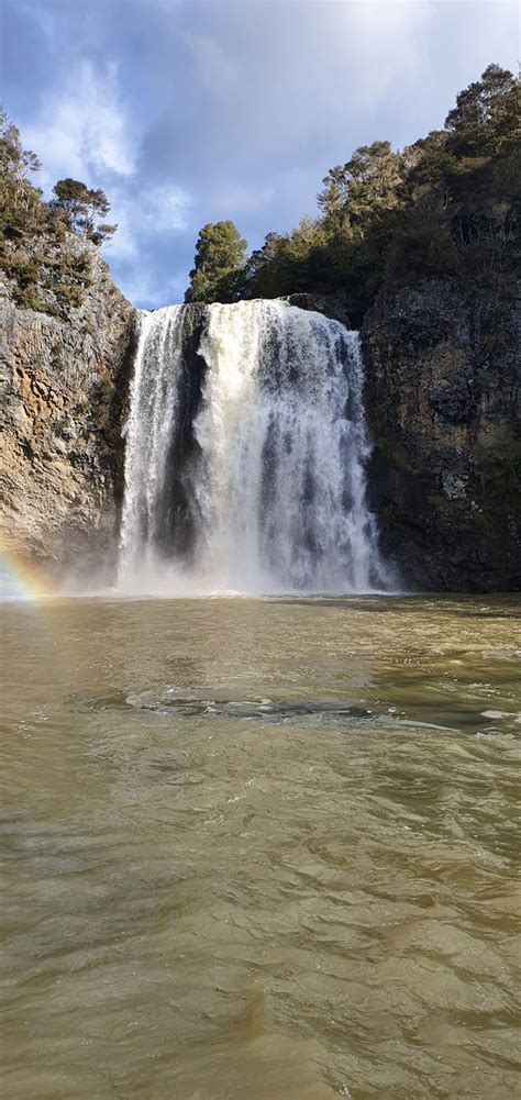 Hunua Falls Tour