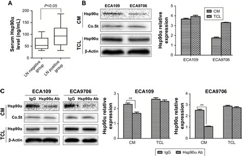 The Serum Hsp Level Of Escc Patients And Secretion Of Hsp From