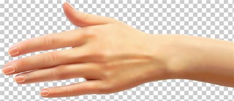 Skin Finger Hand Nail Joint Png Clipart Arm Finger Gesture Hand