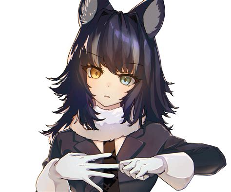 1347077 Kemono Friends Hd Snow Leopard Kemono Friends Rare