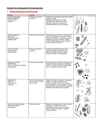 Examen De Practiques Farmacognosia Pdf