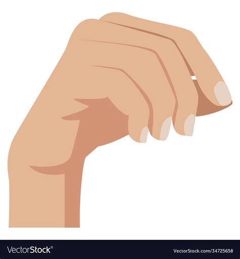 Woman hand holding something isolated Royalty Free Vector