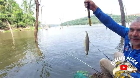 PESCARIA DE BARRANCO SO SAIU PEIXE BRUTO YouTube