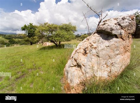 Landscape Of Komodo Land Of The Dragons Stock Photo Alamy