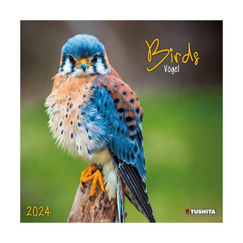 Calendrier 2024 Oiseaux De Nos Jardins