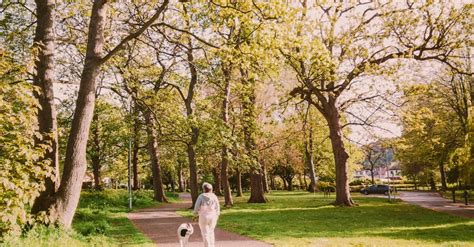 Woman Walking Dog in Park · Free Stock Photo