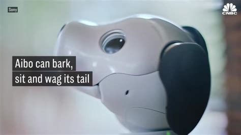 Sonys New Robot Dog Aibo Barks Does Tricks And Charms Animal Lovers