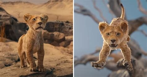 Mufasa Krajem Godine Sti E Prequel Filma Kralj Lavova Pogledajte