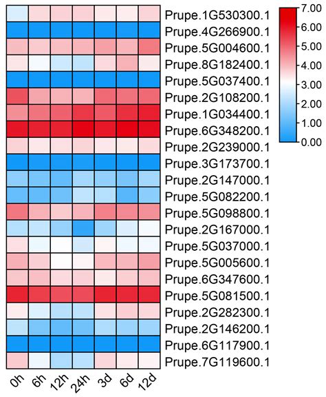 Dissection Of At Hook Motif Nuclear Localized Genes And Their Potential