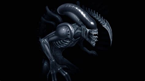 Xenomorph Aliens Artwork Wallpapers Hd Desktop And