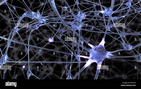 Representaci N D De Una Red De C Lulas Neuronales Y Las Sinapsis En El