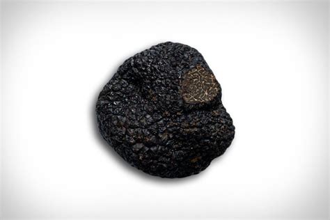 Black Perigord Truffle | Uncrate