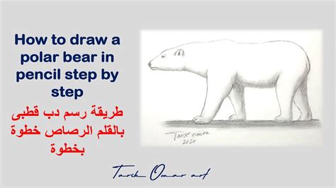 طريفة رسم دب قطبى خطوة بخطوة How To Draw A Polar Bear Step By Step Youtube