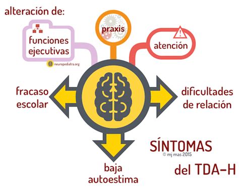 La Maduración Cerebral En El Tdah Neuronas En Crecimiento