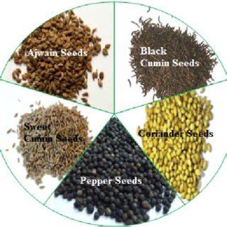 Types of the investigated traditional Indian medicinal spice seeds of ...