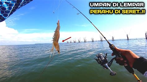 Buseett Pastikan Jangkar Kuat Sarang Ikan Besar Ada Di Tiang