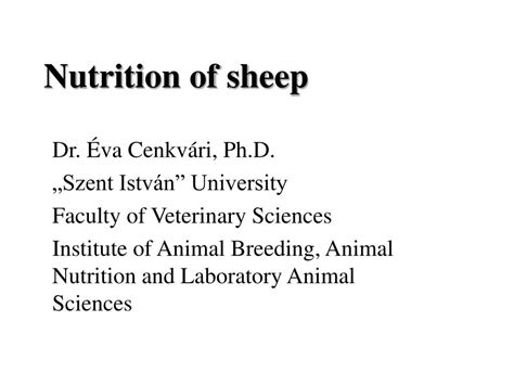 Ppt Nutrition Of Sheep Powerpoint Presentation Free Download Id