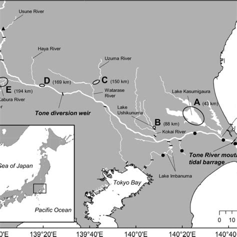 Map of the study area in the Tone River watershed of Japan. Open ...