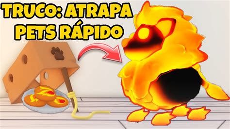 Como Conseguir Mascotas De Fuego Facil Y Rapido Adopt Me Roblox Youtube