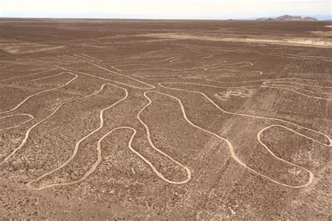 Ai活用でナスカの地上絵4点を新たに発見 地上絵の探索が21倍高速化 東京報道新聞