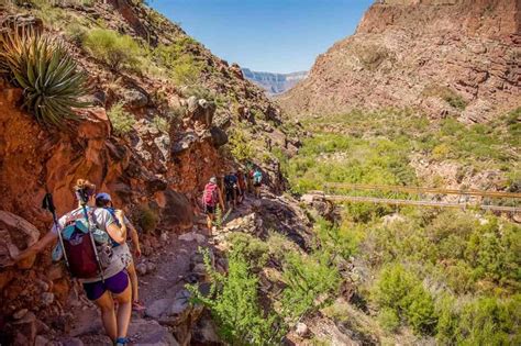 8 Best Grand Canyon Hiking Tour Companies - Territory Supply