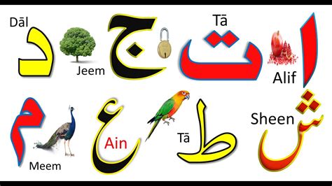 Arabic Alphabet With Images Arabic Alphabet Horufe Tahajji