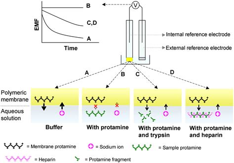 Figure 1 From A Moving Part Free Protamine Sensitive Polymeric Membrane