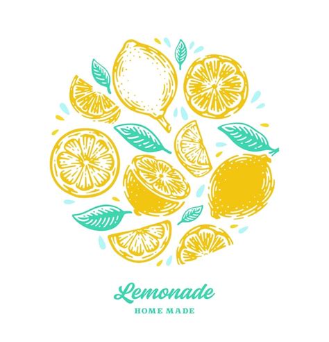 Premium Vector Hand Drawn Lemon Lemon Slice