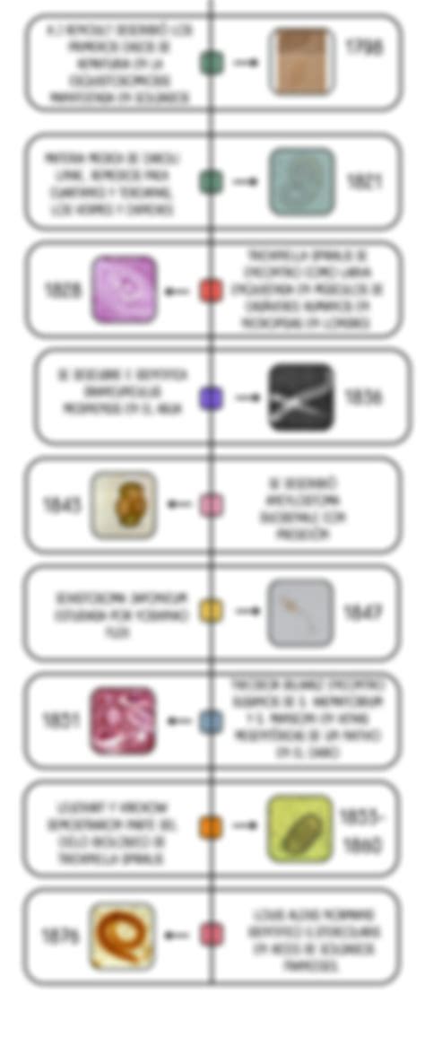 Solution Historia De La Parasitologia Linea Del Tiempo Infograf A