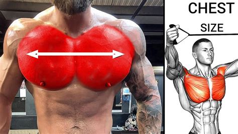 How To Increase Chest Size And To Lose Chest Fat Best Workout Youtube