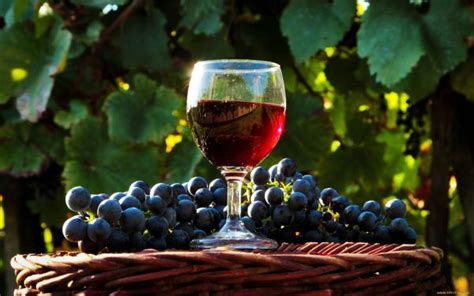 Fondos De Pantalla Comida Fruta Verde Beber Vaso Uvas Alcohol