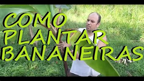 Como Plantar Mudas De Bananas Facilmente YouTube