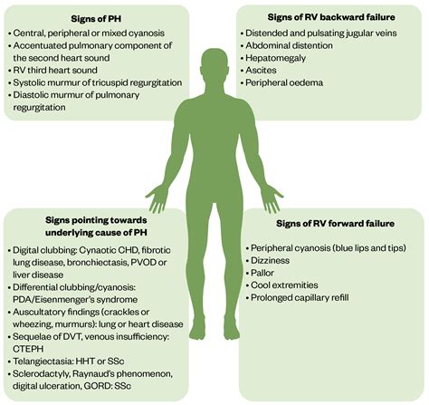 Pulmonary hypertension: recognition, diagnosis and management - The ...