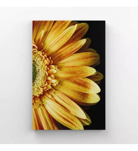 Cuadro Decorativo Rcs Decora Es Quadro Flores Mercadolibre